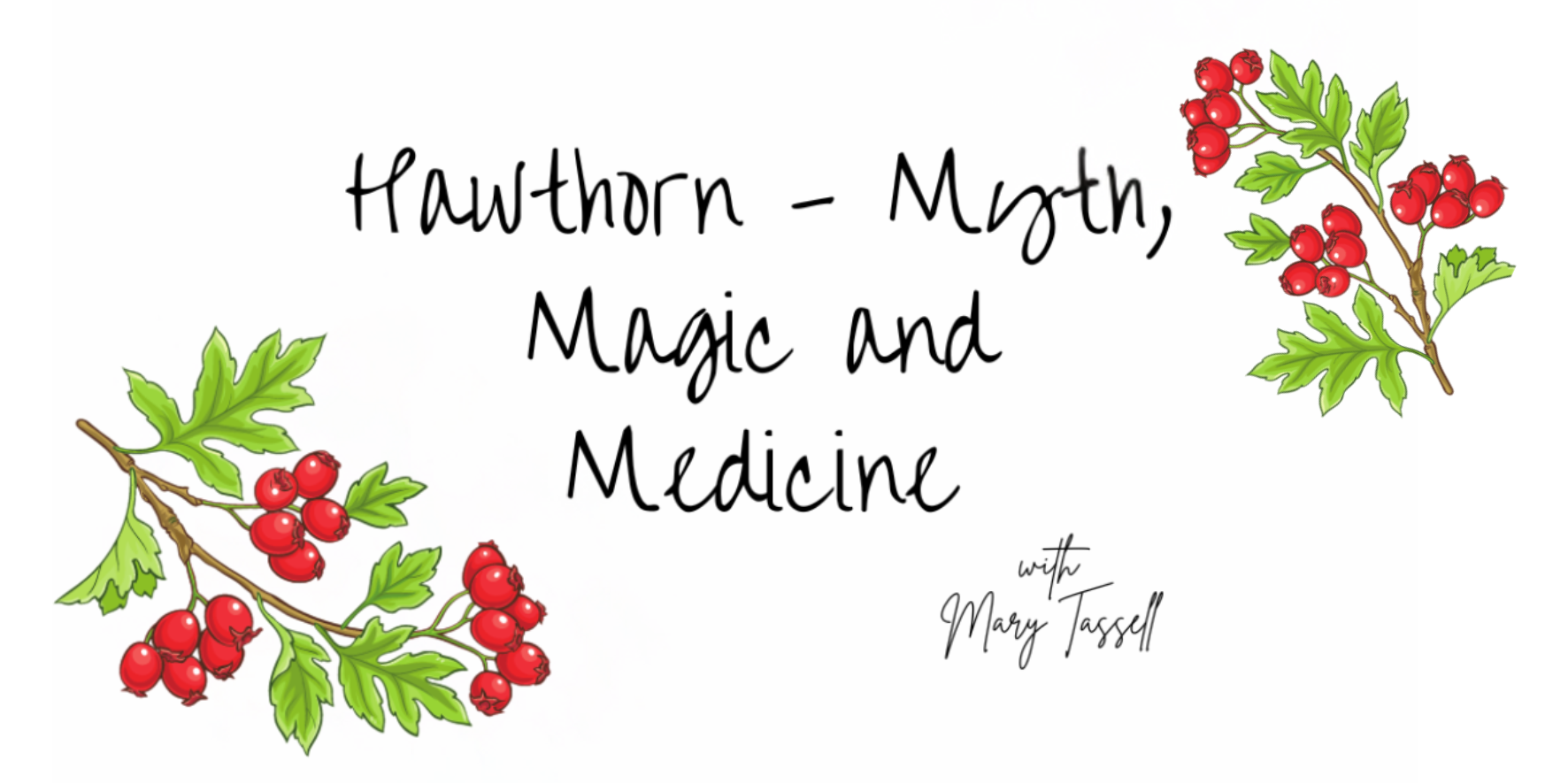 Hawthorn - Myth, Magic and Medicine with Mary Tassell